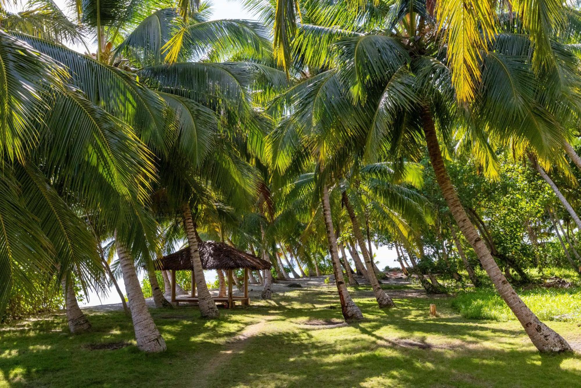 Aloita Resort Mentawai Tua Pejat Kültér fotó